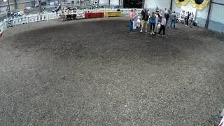 4-H/FFA Market Lamb Show