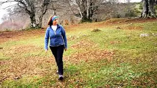 Rutas imprescindibles por Navarra ⛰ Bosque Encantado Larraona Cueva de los Cristianos