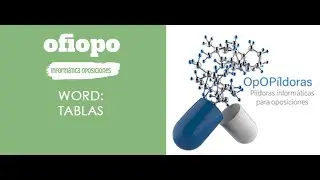 P&Iacute;LDORA: TABLAS DE WORD