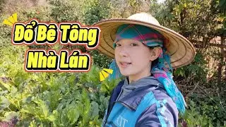 ÔNG BÀ ĐỔ BÊ TÔNG Ở NHÀ LÁN VÀ ĐI HÁI RAU || Nậm Khum ||