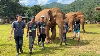 Mahouts Learning the Gentle Way to Care for Elephants - ElephantNews