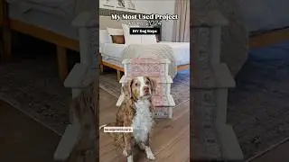 DIY Dog Steps. Blog at cedarhillbuilder.com #diy #dog #diyprojects #diyideas #howto #doityourself