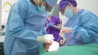 Abbey House Dental - Dr Amit Jilka (Dentist)