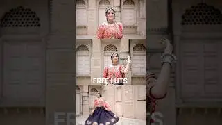 Free Wedding Luts  #luts#videoediting