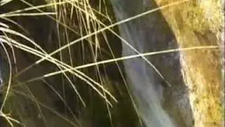 ALCORNOCALES
