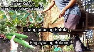 Bahay Kubo,Unang Pitas Ng Patola'Pag ayos Ng bobong Ng kusena@Maring Lolit You tube channel 