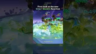 FIRST LOOK AT THE NEW CRYO + DENDRO REACTION