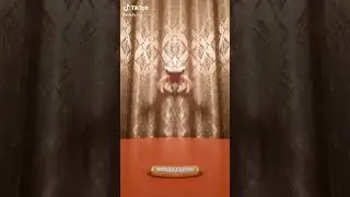 momentos de la ara&ntilde;a insana voladora XD #humor