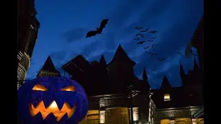 Halloween in Durso Tower