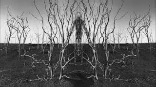 Earth - A Tribal Bass Mix