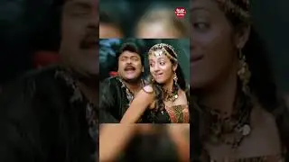 Feel the song and dance to the music😍 #TaubaReTauba #Stalin #Chiranjeevi #Trisha