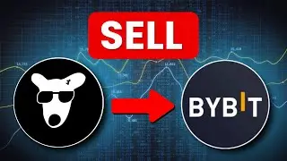 How to Sell DOGS Token in Bybit (Step-by-Step)