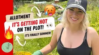 Summer Allotment Update & Plot Tour - Allotment beginners