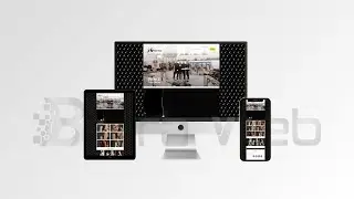 Custom WordPress Website for Jewelry Brand | SGliquidmetal.com Design by 