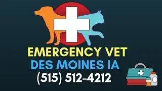 Emergency Vet Clinic Des Moines | 24 Hour Pet Hospital West Des Moines IA ֻ | (515) 512-4212