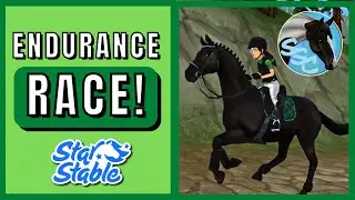 SSC Endless Summer Endurance Race! 🏁​ Star Stable Online
