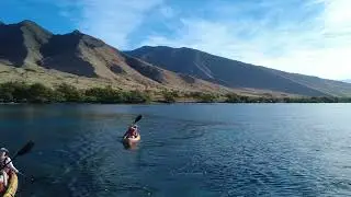 Olowalu Kayak Tour Paddle Out