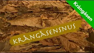 Krångåsen 105 - Tillverka ditt eget snus. Del 2