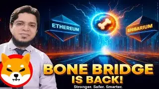 Plasma BONE Bridge Is Back! Stronger, Safer & Ready for Shibarium Users | Shiba Inu Big Update 2025
