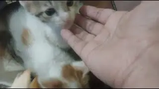Noor jaani vlog is live