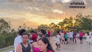 Mount Coot-tha, Brisbane 