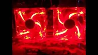 Deepcool XFAN 120 mm Led Red.. .