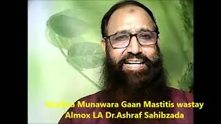 Madina Munawara Gaan Mastitis wastay Almox LA Dr Ashraf Sahibzada
