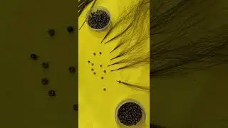 Mini Micro Ring Hair Extensions | Nano Ring Hair Extensions #hairextensions