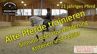 F83 Alte oder steife Pferde: Belastung, Training, Tipps & Fakten. Muskelaufbau bei alten Pferden