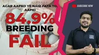 84.9% BREEDING FAIL...😞😞😞      Birds Ke Liye Sabse Zaroori Suppliments || Important supp. for birds