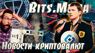 Руководитель BITS.MEDIA о ситуации с Роскомнадзором / Блокчейн FREE TON / Дефекты Antminer S17