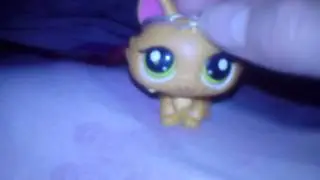 R.I.P Cyndago.