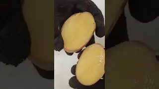Potato 🥔 Vs Coke Test  | Funny Tricks #Experiment #Tips #Shorts #ytshorts