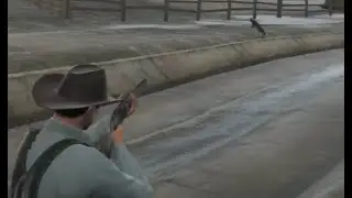 911SA #53 Darn chicken thieving varmint!