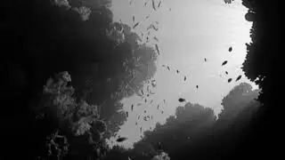 bo burnham - goodbye (possible ending song) | slowed + muffled