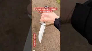 You can order a folding knife pchak/kord by contacting us +79298270003 #blade #edc #pchak #top