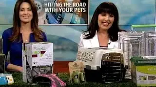 Hitting the Road with Your Pets - The Weather Channel & Sandy Robins: by Petco