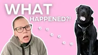 Arguing with My Service Dog!
