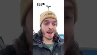 Единственный шампунь для собак и кошек из Walmart, который вам стоит использовать! 👀🐾 #thebkpets ...