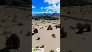 Real Dragons On Google Earth And  Google Maps|#mappingshorts #shorts