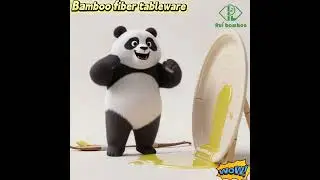 Mr. Panda Tested Ruibamboo Disposable Bamboo Fiber Plates!