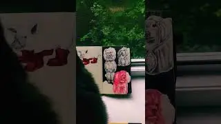 розовый пудель. pink poodle