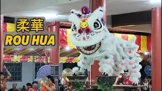 柔華武術龍獅體育會 Rou Hua｜亚军 1st Runner-Up｜古来洪仙杯 2026 Kulai Traditional Lion Dance Championship