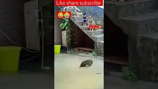 masti time 😂😭🤣#shorts#viral#trending#funny#comedy#short#fun#moj#masti#youtubeshorts#siteshgaur8607