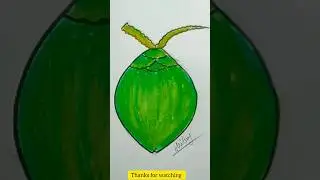 How to draw green coconut #dab #coconut #coconutdrawing #greencoconutdrawing #নারিকেল