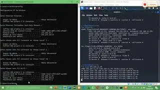 ping kali linux to windows current machine