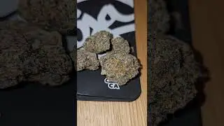 doja chocolate biscotti cali pack rsosos