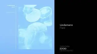 Indefinite Pitch PREMIERES. Lindamann - Flare [Oslated]