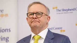 &lsquo;Poor old Albo&rsquo;: PM in a &lsquo;spot of bother&rsquo; with new polls