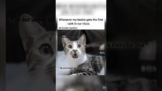 My honest reaction....🤔#memes #cats #music #remix